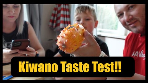 Kiwano Exotic Fruit Taste Test!! Family Food Review