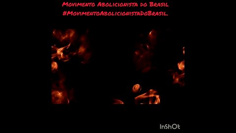 Movimento Abolicionista do Brasil,Dia 04/12/23 Vídeo 01