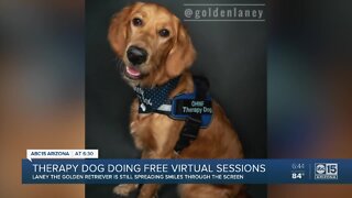 Therapy dog doing free virtual sessions