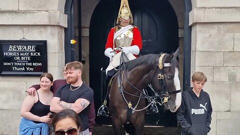 Tourist's lovely moments with the horse #horseguardsparade