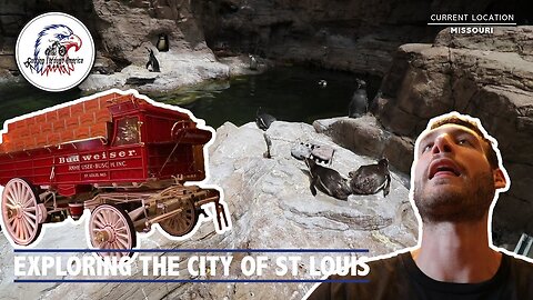 Exploring The City Of St Louis