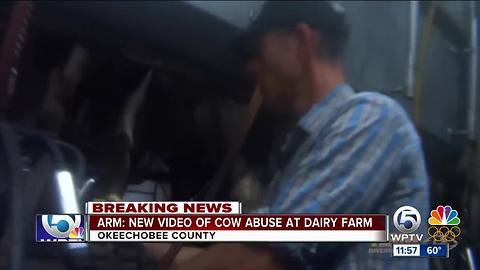 Animal group releases new video of possible cow abuse at Larson Dairy Farm