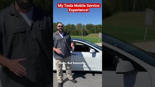 My Tesla Mobile Service Experience! - Model 3 Needed Tesla Mobile Service - Tesla Model 3 #shorts