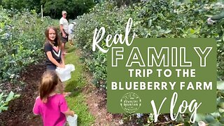 Blueberry Picking at Abshier Blueberry Farm | A REAL Family Vlog!