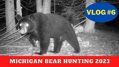 Michigan Bear Hunting Vlog #6
