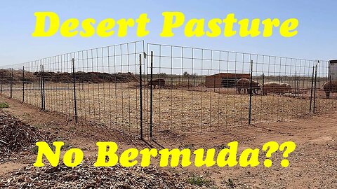 Establishing Summer Pasture in the Desert | Livestock Pasture in AZ