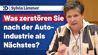 𝐒𝐲𝐥𝐯𝐢𝐚 𝐋𝐢𝐦𝐦𝐞𝐫 ▶️ Was zerstören Sie nach der Autoindustrie als Nächstes?@AfD im EU-Parlament🙈