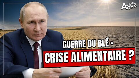 Crise alimentaire : pourquoi le prix des céréales stagne même après le blocus russe
