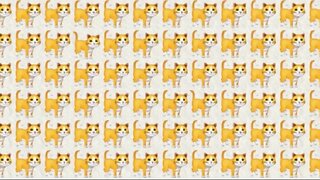 #Challenge# If you can find the 2 different cats in 30 seconds you are very smart.