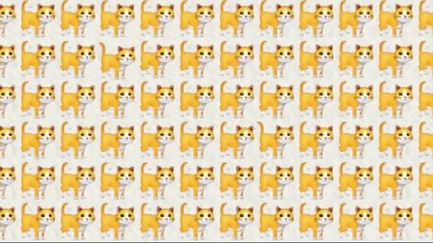 #Challenge# If you can find the 2 different cats in 30 seconds you are very smart.
