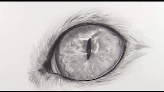 The importance of black and white Cat eye drawing