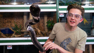 Venomous Snakes Helped Save My Life | BEAST BUDDIES