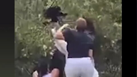 A Bunch Of Karens Are In Deep Doo-Doo After Removing Bear Cubs From Tree To Take Selfies