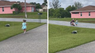 Little Girl Still Gets Excited To See Grandparents Every Single Day