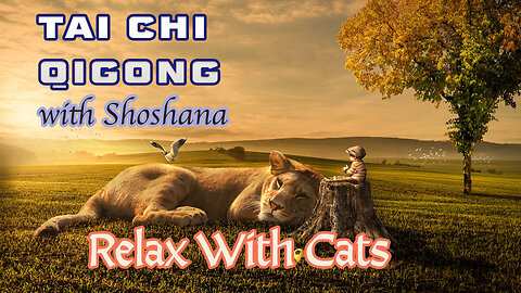Tai Chi Qigong With Shoshana - Relax With Cats