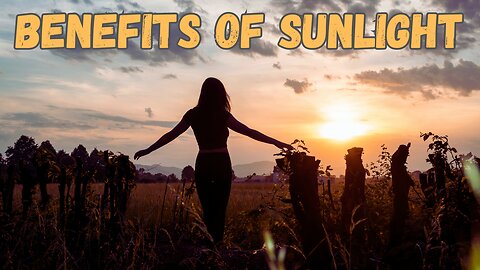 What Are The Benefits Of Sunlight? "The Sunny Side"