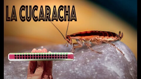 How to Play La Cucaracha on a Tremolo Harmonica with 20 Holes