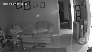 Deceased cat's spirit caught on camera