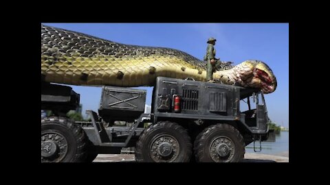 Giant Anaconda World's longest snake found in Amazon River (Unbelieveable)
