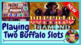 💥Somebody Won On Buffalo Slot Machine!!💥