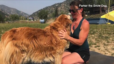 Clear Creek offering yoga with dogs at stadium next to I-70