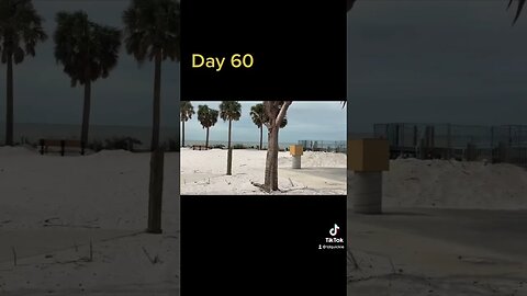 Destruction of Fort Myers Beach 6 Months aftet Hurricane Ian - The Daily Quickie - Day 60