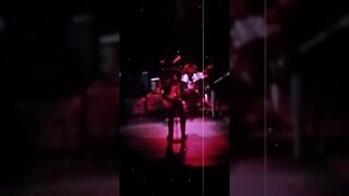 Bob Marley Live at Massey Hall June 8th 1975 #bobmarley #reggae #music #fyp #love #viral #trending