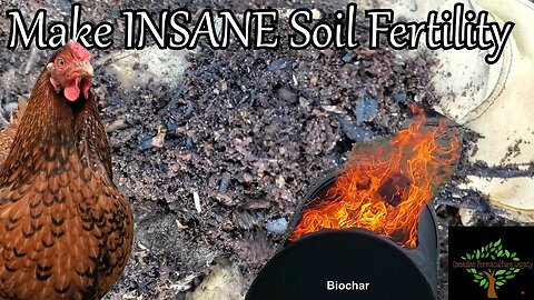 Make INSANE soil fertility with chickens and biochar