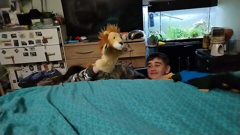 Daniel and the Lions Den Puppet Show