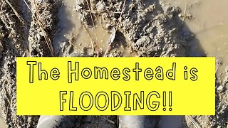 The Homestead Is Flooding!