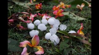 Terrible hail storm scares inhabitants