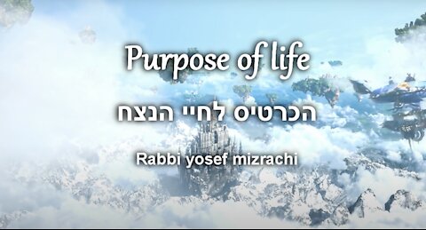 The Purpose of Life (divine information film)