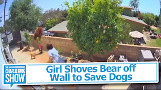 Girl Shoves Bear off Wall to Save Dogs