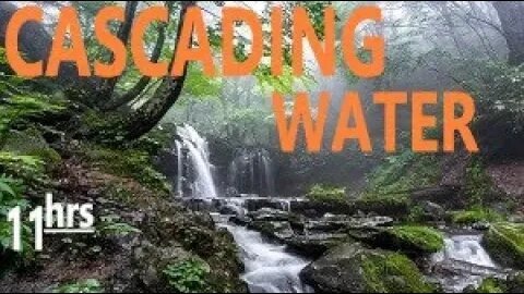 Soothing Forest Waterfall Stream & Chirping Bird Sounds Relax Sleep Meditate Study Work Soothe Baby