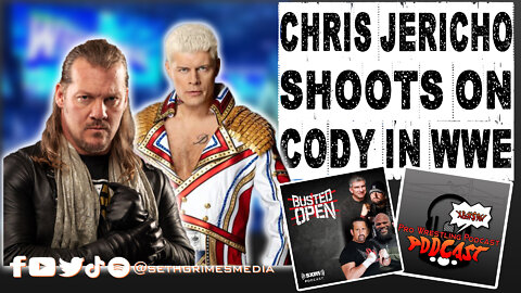 Chris Jericho SHOOTS on Cody Rhodes WWE Debut | Clip from the Pro Wrestling Podcast Podcast | #wwe