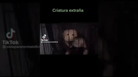 Criatura Extraña