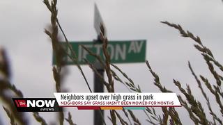Neighbors upset over high grass at Lorain park