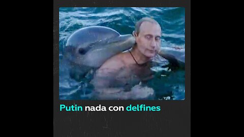 ¿Habían visto alguna vez al presidente de Rusia nadando con delfines?