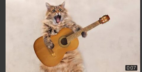 Cute Cat Singing Ah Aaaaa aa | Cute Animal Videos | Full Screen Whatsapp Status | #shorts