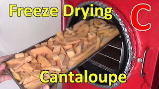 Freeze Drying Cantaloupe