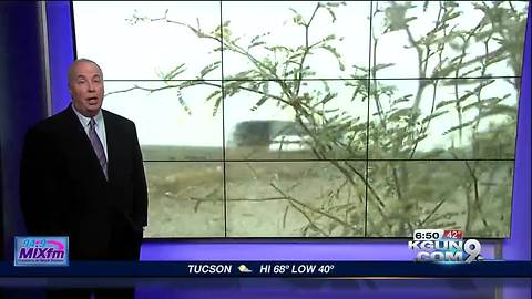 Preparing for upcoming dust storms in Arizona