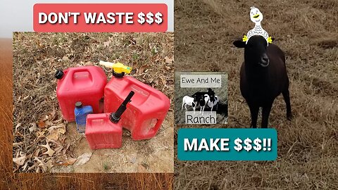 Profitable Homesteading pt.2!!! Don't Waste $ on Ranch GAS🐑😉🤑 #animals #homestead