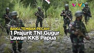 SIAGA SATU! Suasana Mencekam Baku Tembak TNI vs KKB