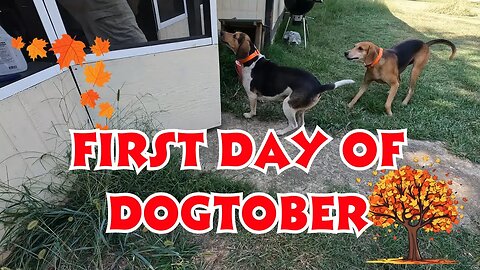 Its Not Off To A Good Start! 31 Days Of Videos Begins./Dogtober 2023/Day 1