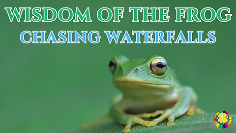 Chasing Waterfalls - A Channelled Message From The Frog | The Lion's Share Podcast #10.1
