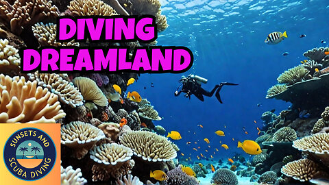 Scuba Diving Paradise in the Marshall Islands!!