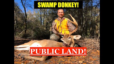 PUBLIC LAND GIANT! South Georgia Deer Hunting
