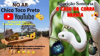 Casos Chico Toco Preto e a Aparição Sombria o Caso da Cobra Branca... E ai Tem Coragem ?