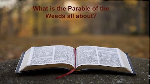 The Second Parable, Weeds on Down to Earth but Heavenly Minded Podcast