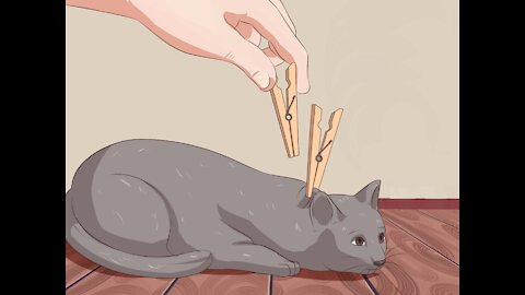 🐱 How To Make Any Cat Stop Moving. Easy Way To Clean Your Cat 🐱